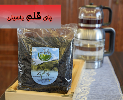 چای قلم یاسینی