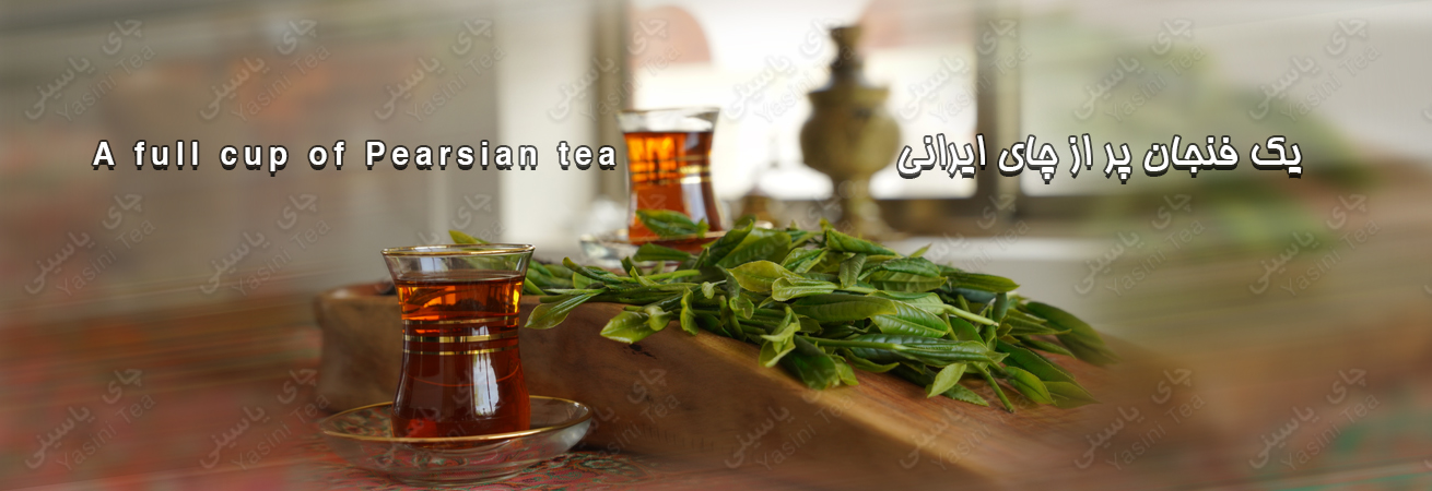 چای یاسینی