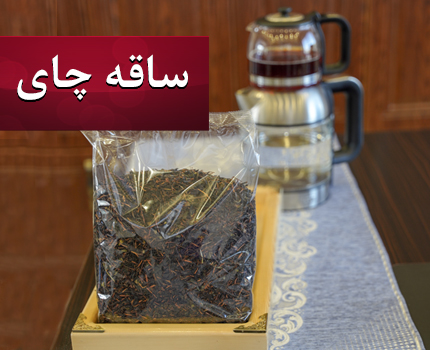 ساقه چای