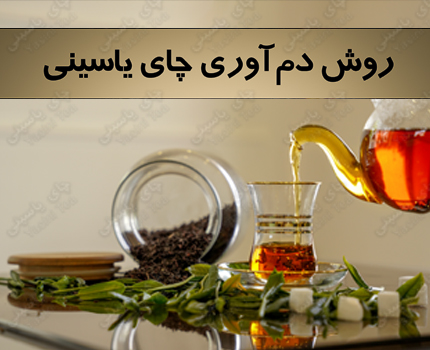 نحوه دم آوری چای یاسینی