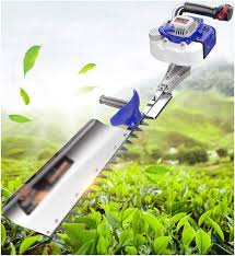 هرس بوته چای